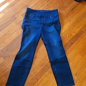 Lee Denim Slim Fit, Slim Leg, Mid rise Sculpting pull on jeans Size 10 Short